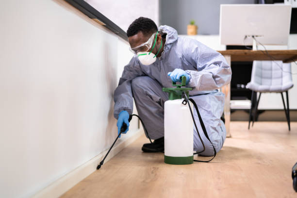 Best Pest Control for Multi-Family Homes  in Laguna Woods, CA